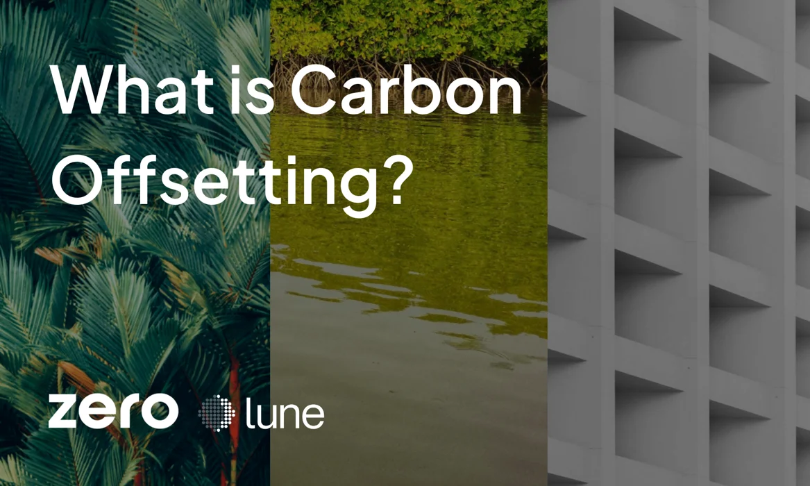 What is Carbon Offsetting?