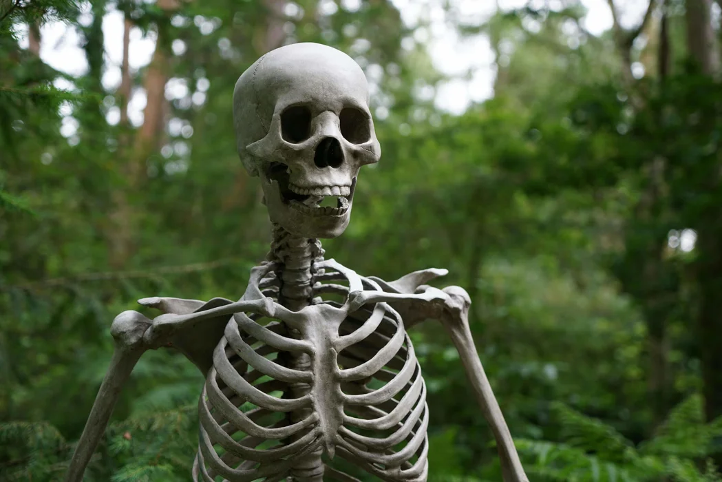 What skeletons are hiding in our bank accounts?